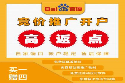 谷歌竞价广告的关键词选择与优化案例